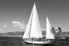 4-MM-STELLA